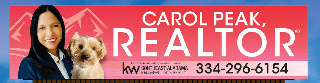 Carol Peak Top real estate agent in Dothan 