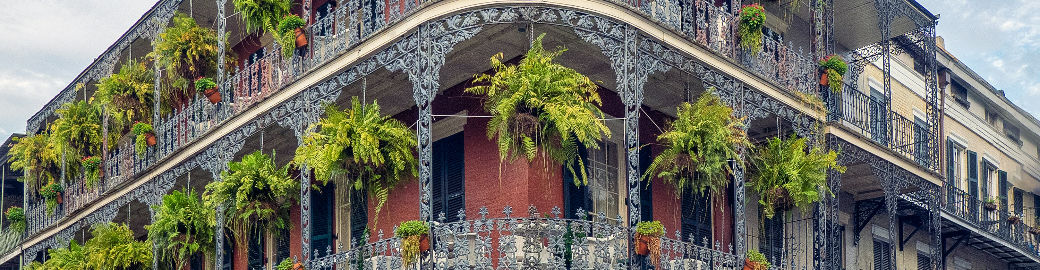 Adrienne LaBauve Top real estate agent in New Orleans