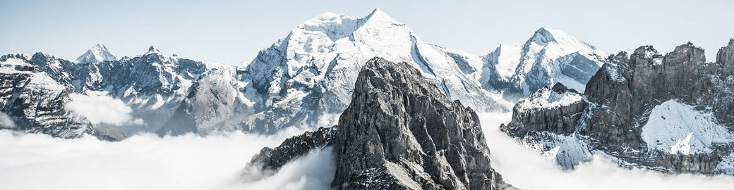 Andrea Gonzalez Top real estate agent in Salem