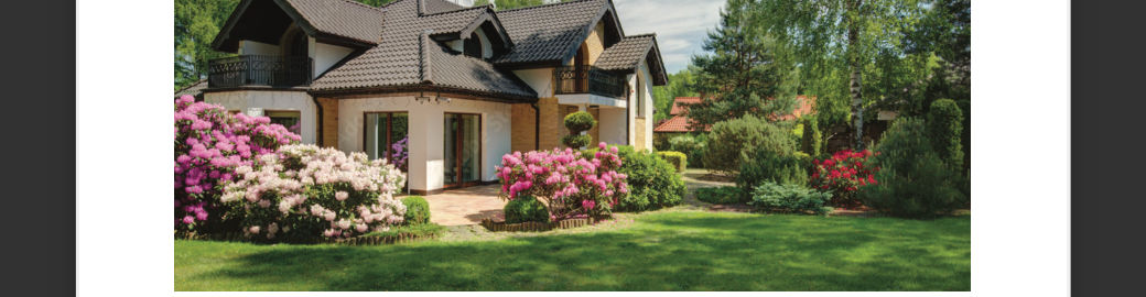 PHUONG HUYNH Top real estate agent in Palm Harbor