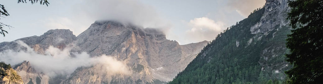 Goadson Malou Top real estate agent in Delray Beach