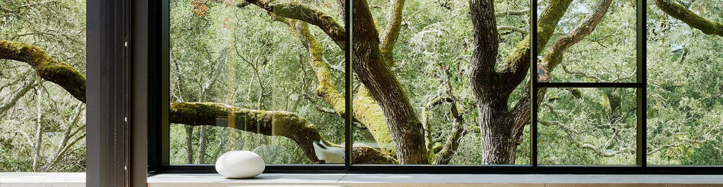 Jenee George Top real estate agent in San Ramon