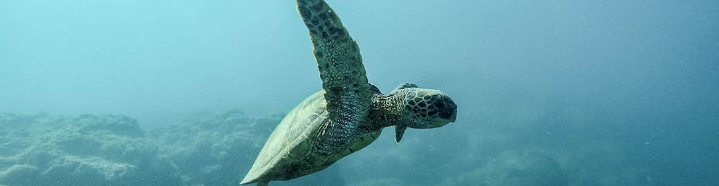 Michele LaPorta Top real estate agent in Melbourne