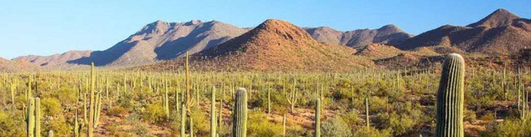 Kevin Downey Top real estate agent in Scottsdale