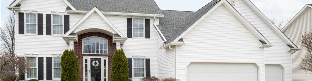 Dianne Michlinski Top real estate agent in buffalo