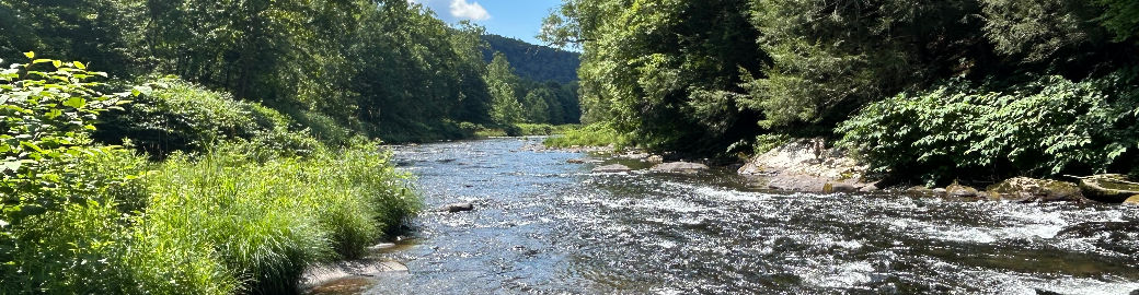 Fleur Bailey Top real estate agent in Livingston Manor