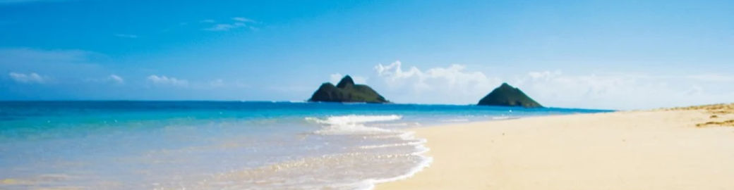 Corinda Wong Top real estate agent in Kailua