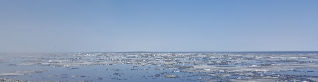 Ted Nordgaarden Top real estate agent in Alamogordo