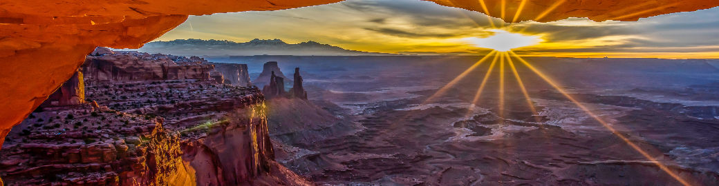 Tom Walsh Top real estate agent in Scottsdale