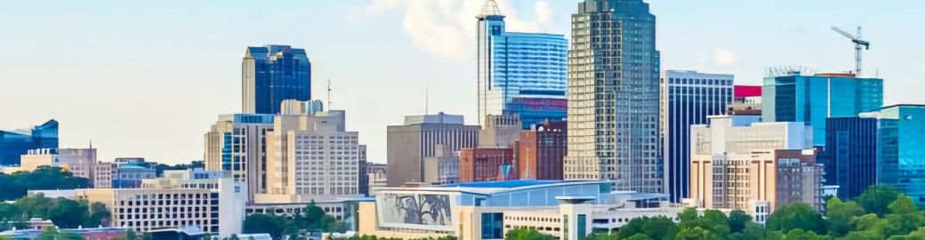 Warren Hall Top real estate agent in Raleigh