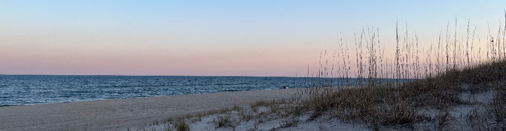 Anna Edwards Top real estate agent in Carolina Beach
