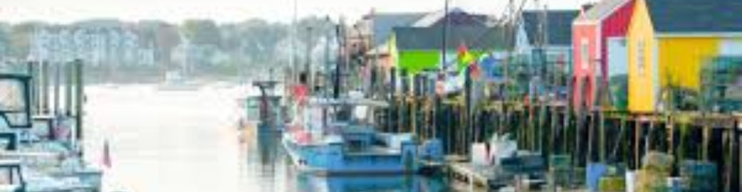 Shay Johnson Top real estate agent in Falmouth