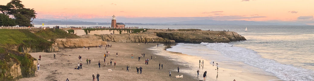 Laura Jones Top real estate agent in Capitola