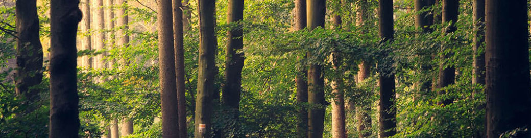 Zach Boyer Top real estate agent in Holden Beach