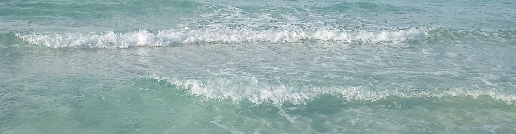 Michelle Thierwechter Top real estate agent in Destin