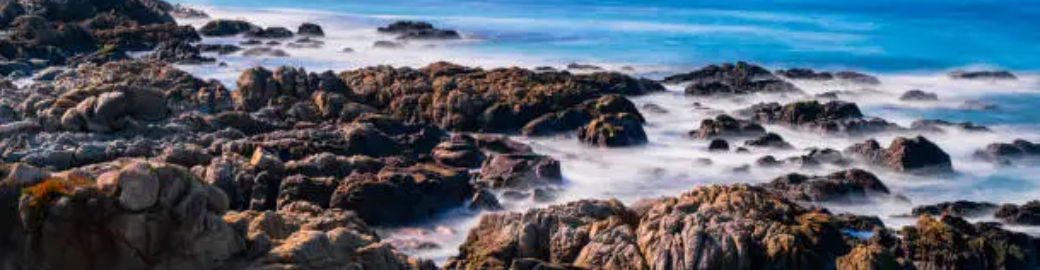 Ashley Ortiz Top real estate agent in Carmel