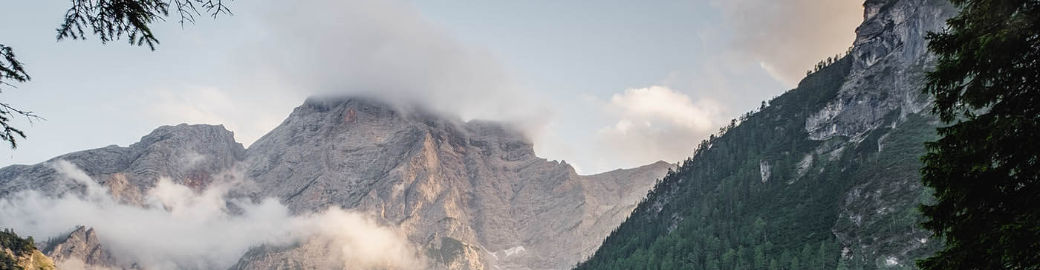 Dianne Schell Top real estate agent in Colorado Springs