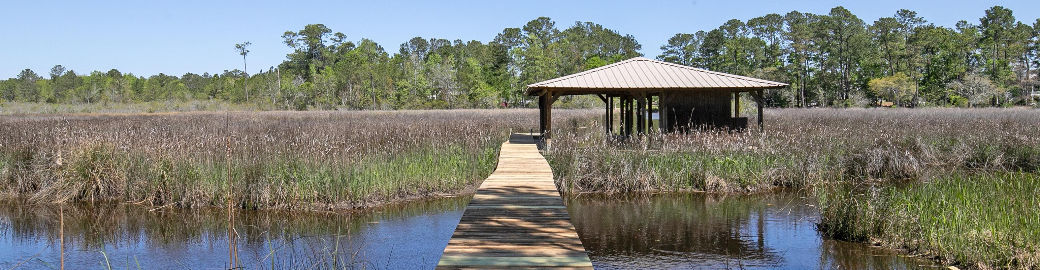 Marty Harris Top real estate agent in Mobile