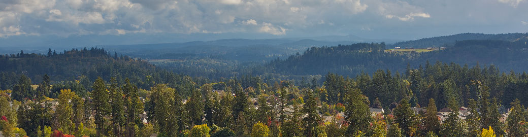 Matt Kachevas Top real estate agent in Camas