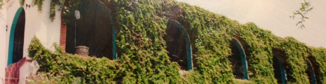 Andrea Caldera Top real estate agent in Santa Fe