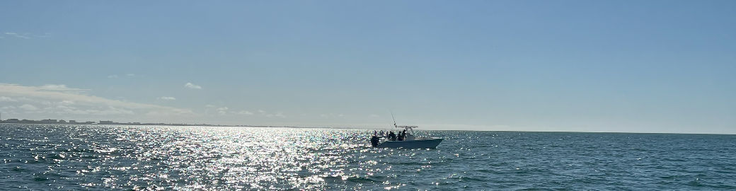 Brian Wacnik Top real estate agent in Sarasota