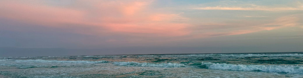 Erin McMurtrey Top real estate agent in Destin