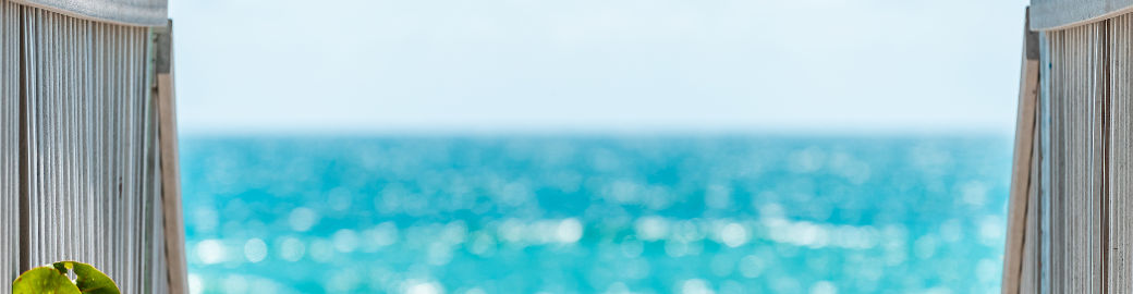 Kirsten Prizzi Top real estate agent in Naples