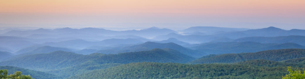 Jason Revelia Top real estate agent in Maggie Valley