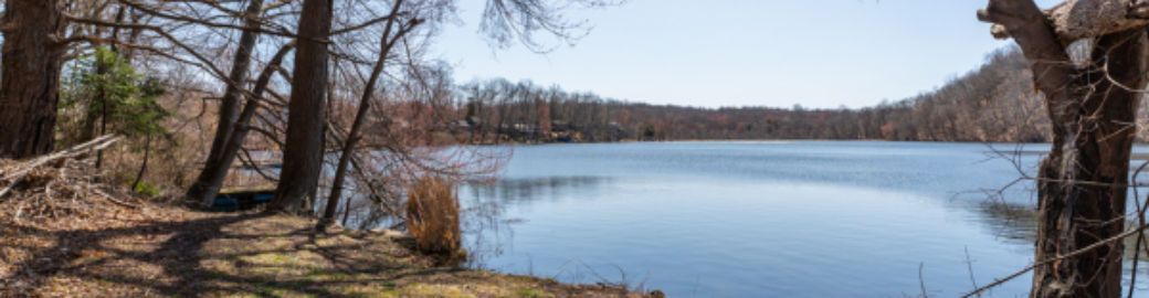 Kim Dawson Top real estate agent in North Branford