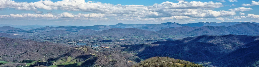 Suzy Bernardi Top real estate agent in Waynesville