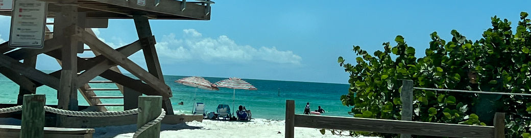 BRITTNEY BURKE Top real estate agent in Bradenton