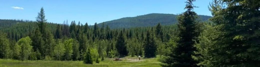 Nancy Savik Top real estate agent in Kalispell