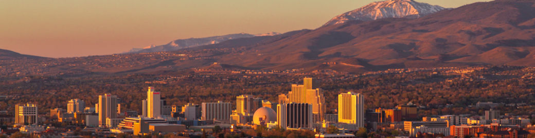 Samantha Reveley Top real estate agent in Reno