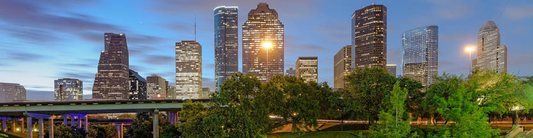 Kellie Jovane Top real estate agent in Houston