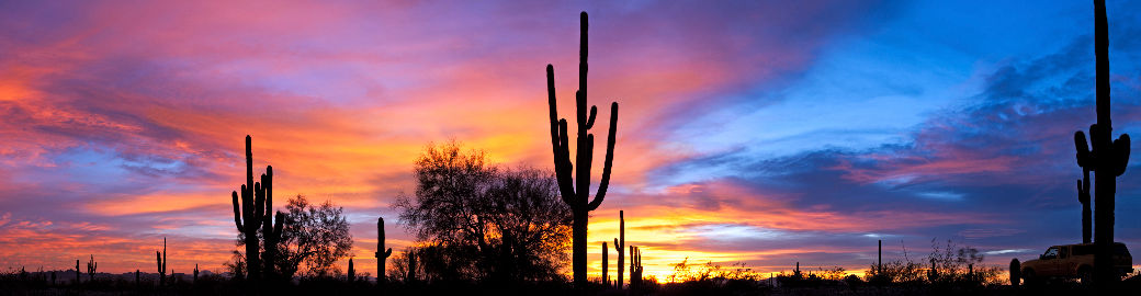Russ Fortuno Top real estate agent in Green Valley