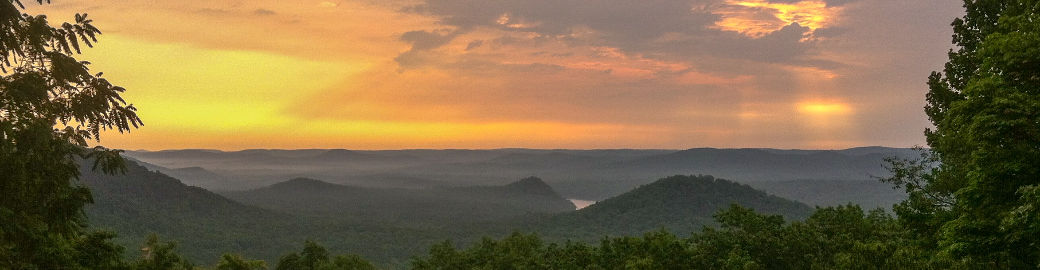 John Robertson Top real estate agent in Albemarle