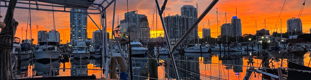 Mary Beth Blackwell Top real estate agent in Saint Petersburg
