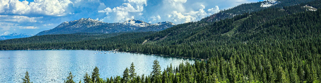 Rebecca deLumeau Top real estate agent in Reno