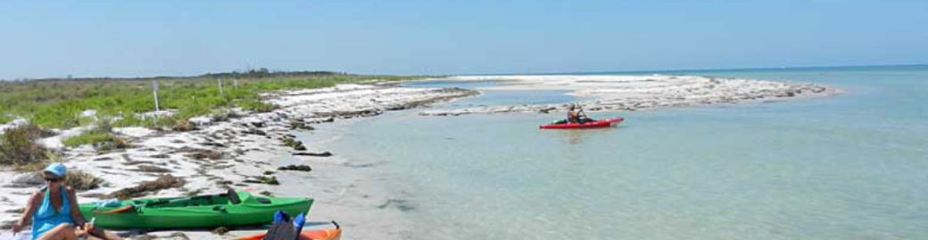 Ilissa Bilger Top real estate agent in Palm Harbor