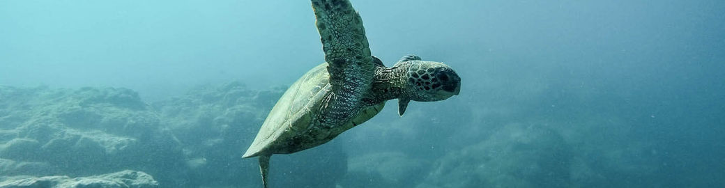 Jannett Marten Top real estate agent in Fort Lauderdale