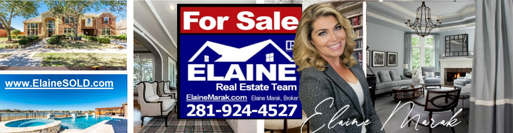 TAMDY ELAINE MARAK Top real estate agent in League City