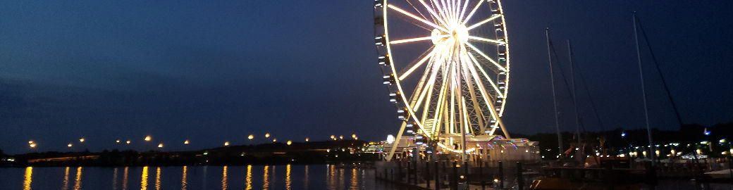 Ariana Loucas-REALTOR DC MD VA Top real estate agent in Alexandria