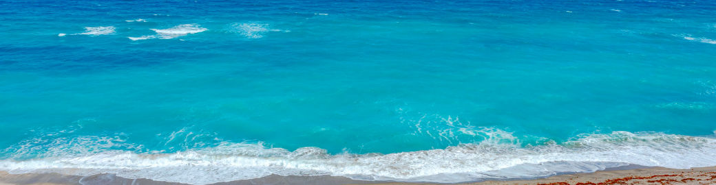 Dawn Mansur Top real estate agent in Jupiter