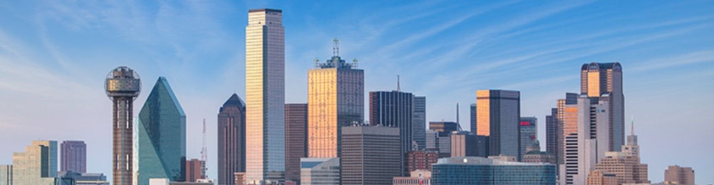 Ashley Lewis Top real estate agent in Irving