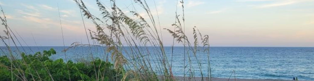 Megan Schoner Top real estate agent in Port St. Lucie