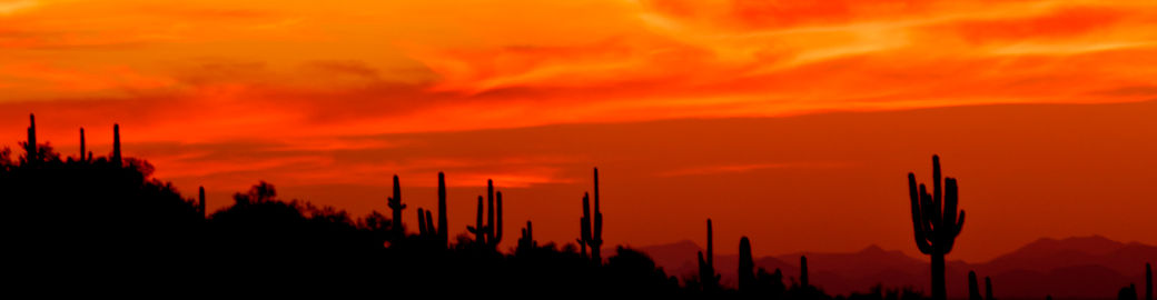 Michelle Sausedo Top real estate agent in Glendale