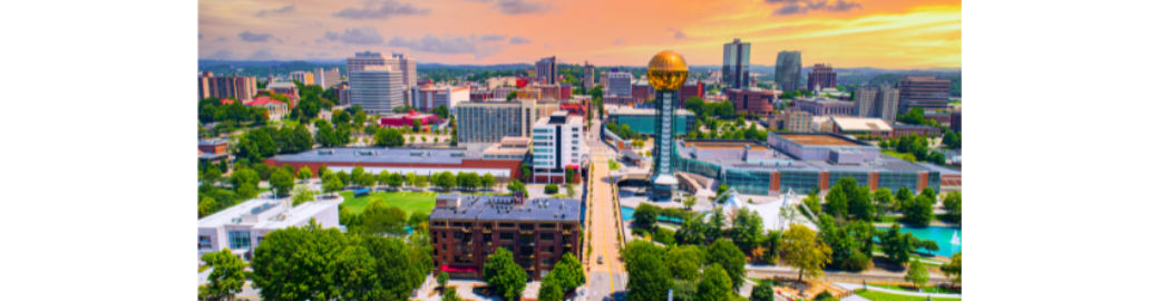 Hilmar Castillo Top real estate agent in Knoxville