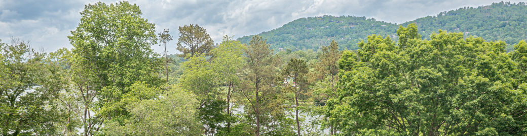 Jeff Stewart Top real estate agent in Asheville