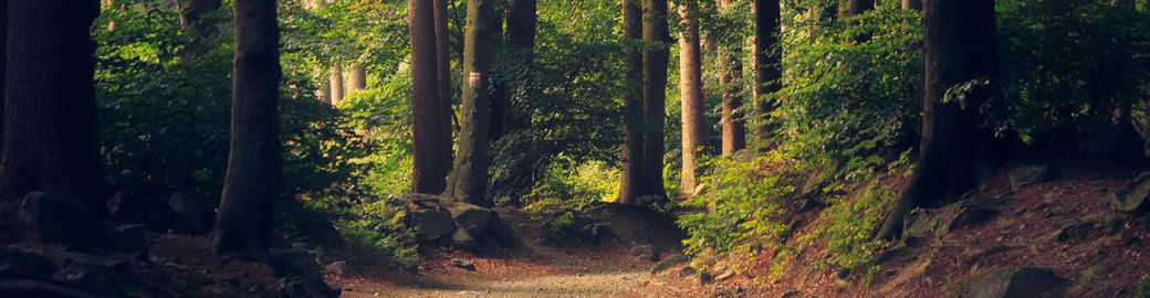 Martin Chavez Top real estate agent in Tallahassee