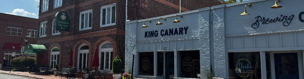 Alexa Jordan Top real estate agent in Mooresville